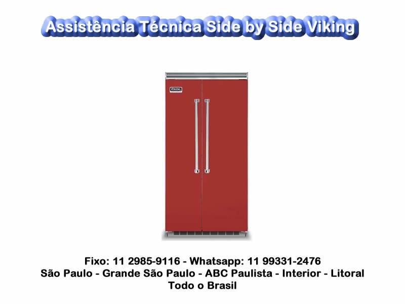 Assistencia-Tecnica-Side-by-Side-Viking